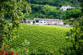 Ca' Piadera Wine Relais Tarzo